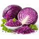 Семена краснокочанной капусты