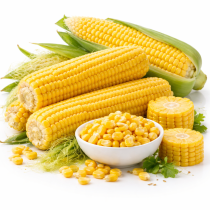 Кукуруза сахарная