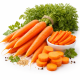 Семена моркови