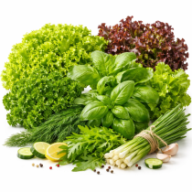 Зелень и салаты