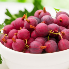 Агрус Карамелька