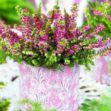 Еріка Kramer's Rote