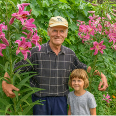 Лілія гігант Time Zone