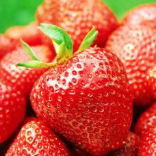 Полуниця Дарселект (Darselect) контейнер 0.5 л